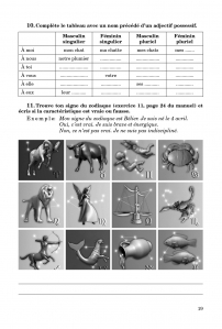 Французька мова, 6 кл. Робочий зошит (6-й рік навчання)
