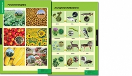 Природознавство, 3-4 класи. Навчально-методичний посібник та додаток з 11 таблиць.
